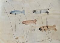 Osmar Osten, 4 x Nano, 2021