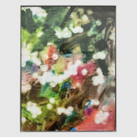 Max Geisler, Garden (edition), 2024